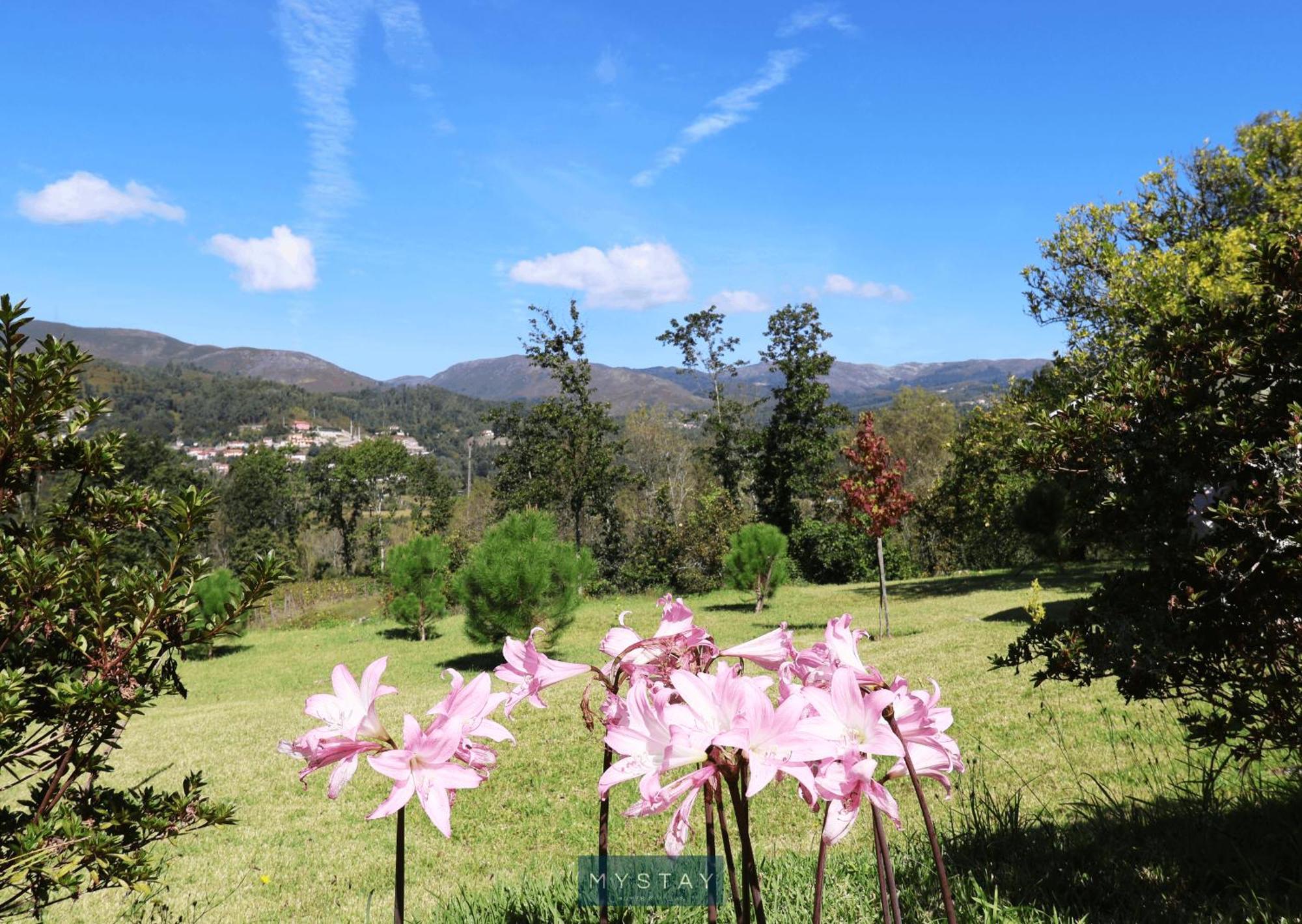 Mystay - Quinta Da Balanca Terras de Bouro Ngoại thất bức ảnh